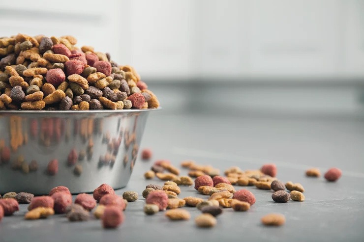 Petfood: Aisad Confesercenti, Iva agevolata su alimenti animali 